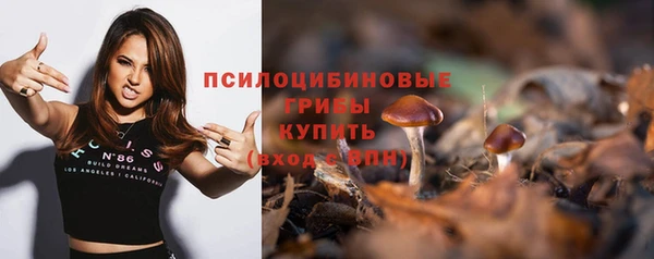 apvp Белокуриха