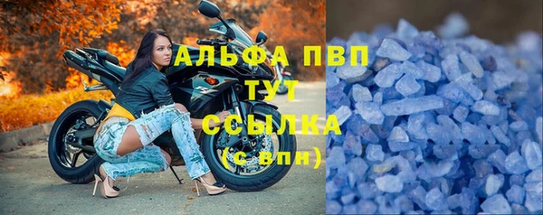 apvp Белокуриха