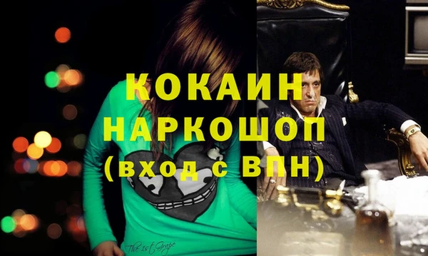 apvp Белокуриха