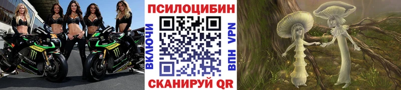 Псилоцибиновые грибы Magic Shrooms  купить   Чёрмоз 